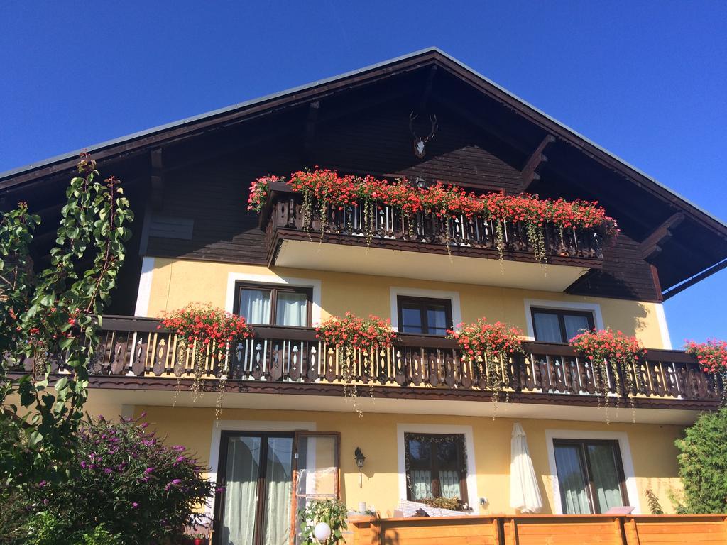 Appartement Haus Edeltraut à Bad Mitterndorf Extérieur photo